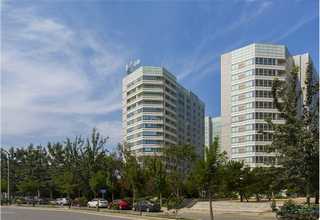 湖北烟罩哪家好用